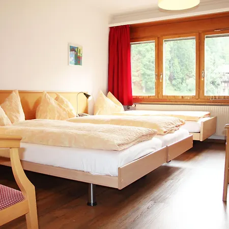 Eigerblick Otel 3*