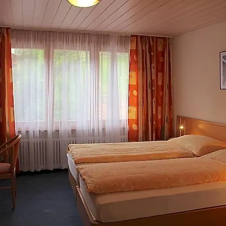 Otel Eigerblick 3*