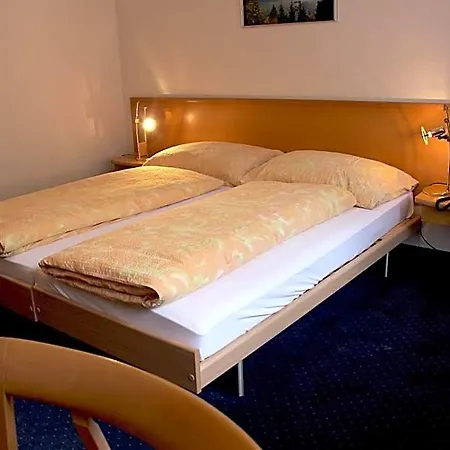Eigerblick Otel 3*