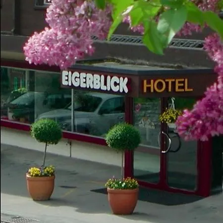Eigerblick Hotel 3*