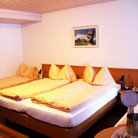 Eigerblick 3* Гриндельвальд