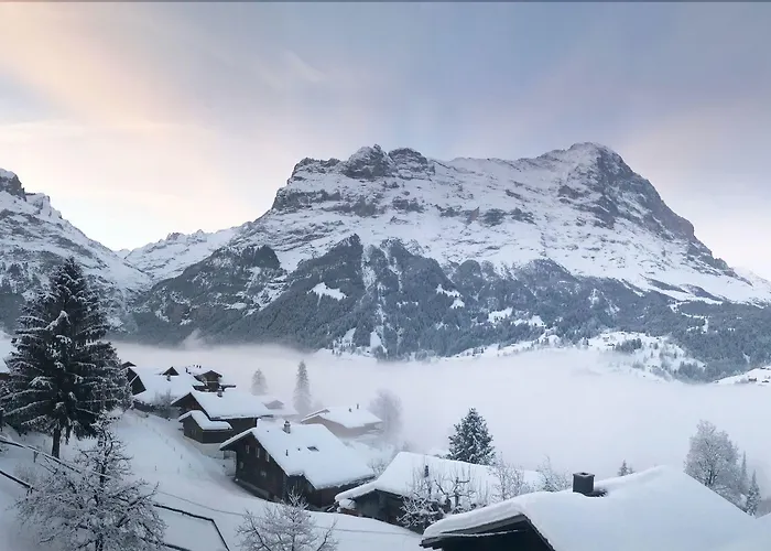 Eigerblick Отель 3*