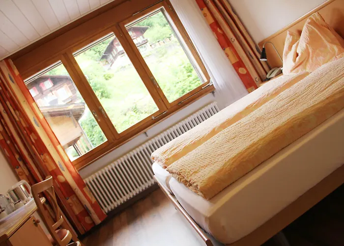 Отель Eigerblick 3*