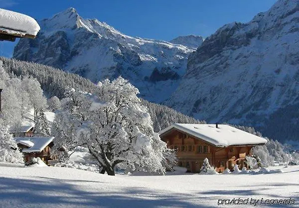 Eigerblick Отель 3*